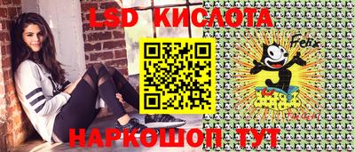 твердый Новодвинск