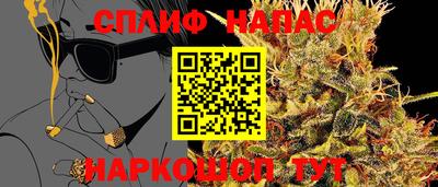 твердый Новодвинск