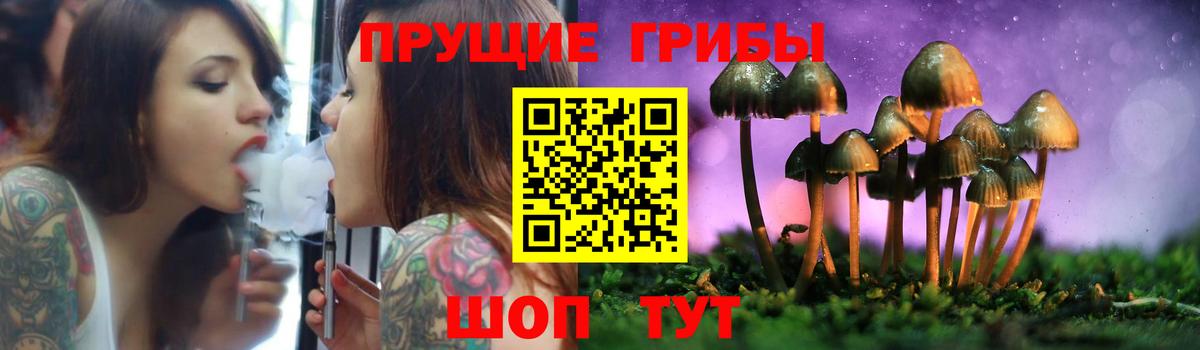 Псилоцибиновые грибы прущие грибы  Вход с VPN  Семилуки 
