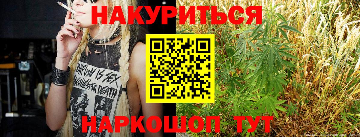 Каннабис планчик Семилуки