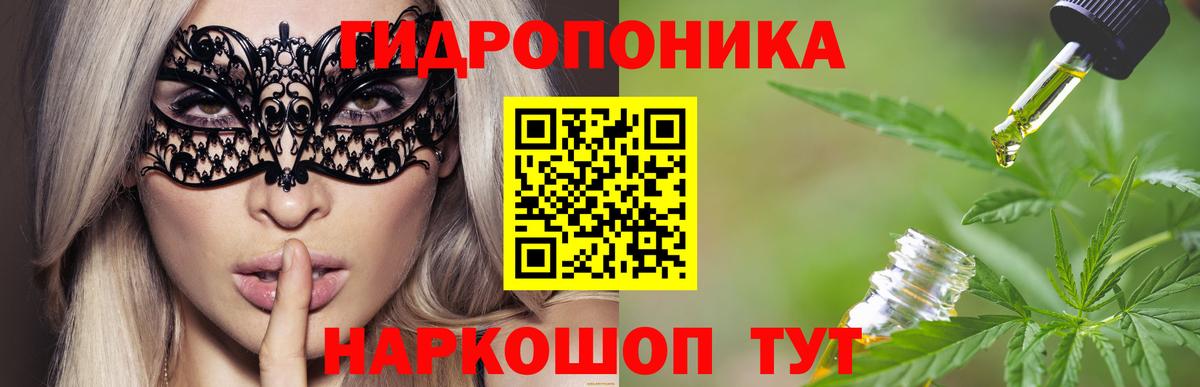 Шишки марихуана AK-47  Шишки марихуана семена  Вход с VPN  Конопля OG Kush  Семилуки  Бошки Шишки AK-47 